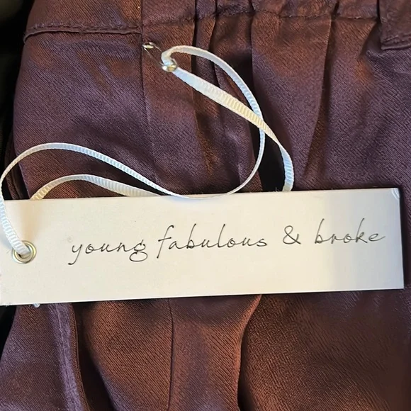NWT Young Fabulous & Broke Findlay Satin Cargo Carpenter Pants in Raisin - M - Picture 13 of 16